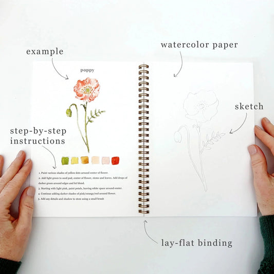 Watercolor Workbook