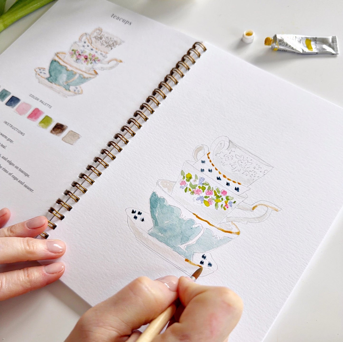 Watercolor Workbook
