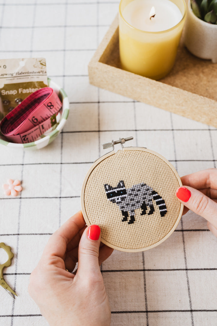 Racoon Cross Stitch Kit