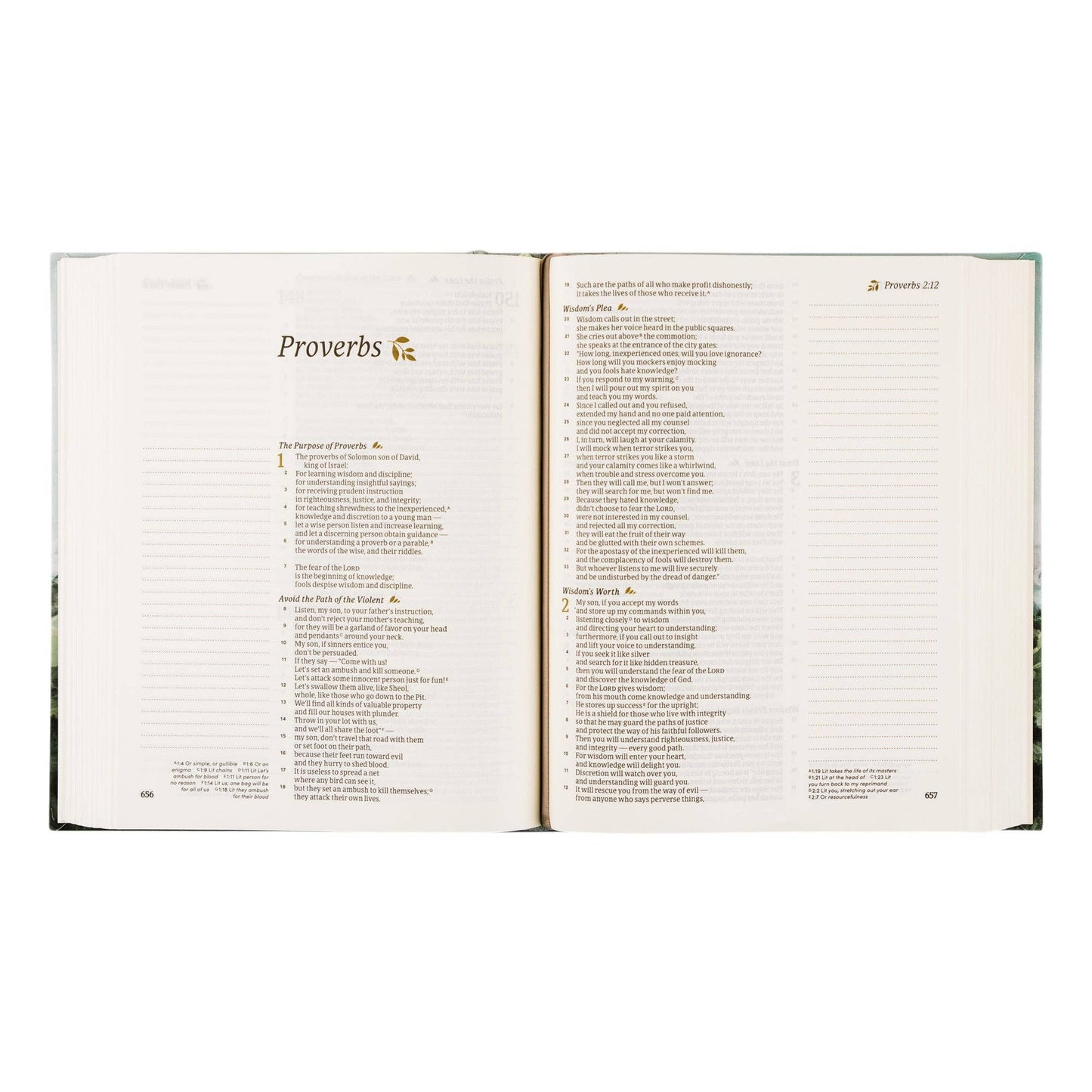 Dublin Theme CSB Bible