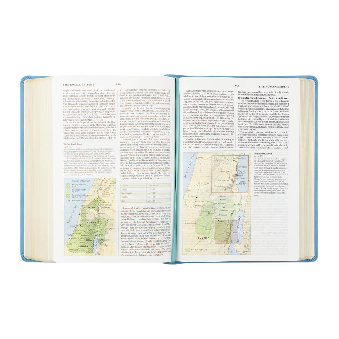 Bethany Theme ESV Study Bible