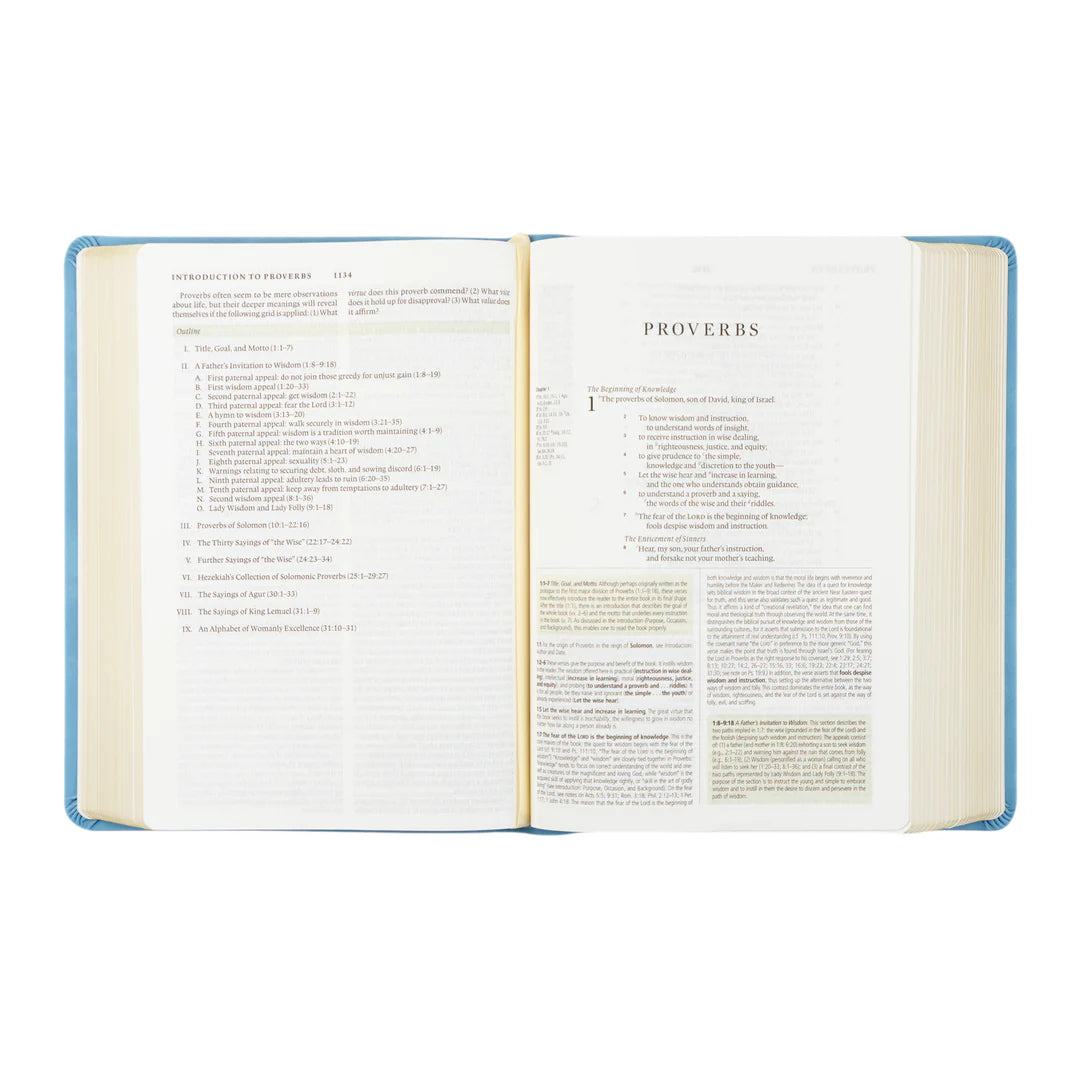 Bethany Theme ESV Study Bible