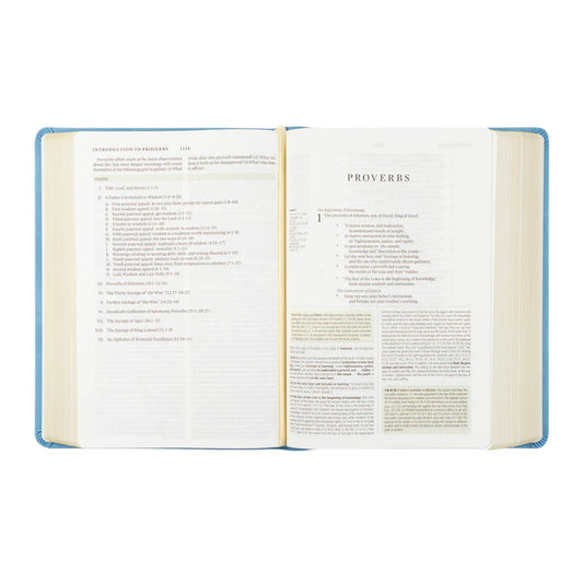 Bethany Theme ESV Study Bible