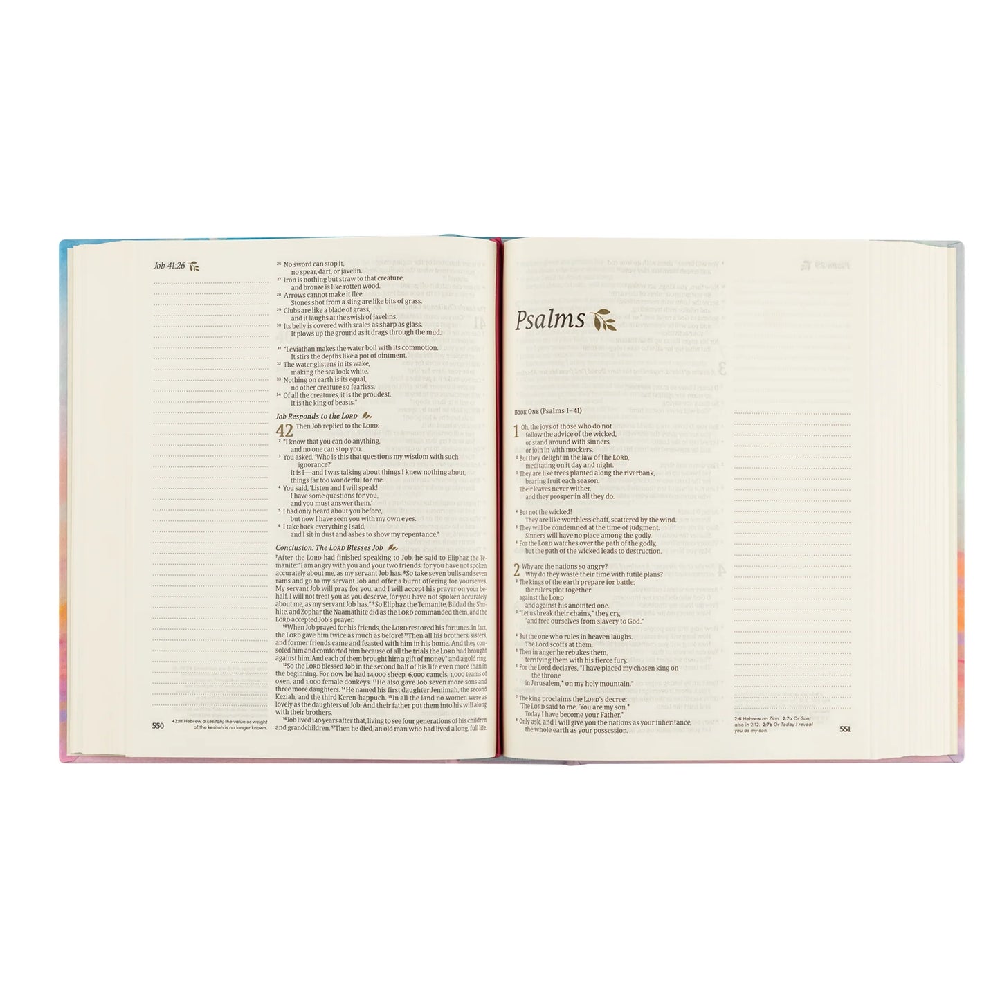 Rosemary Beach Theme NLT Notetaking Bible
