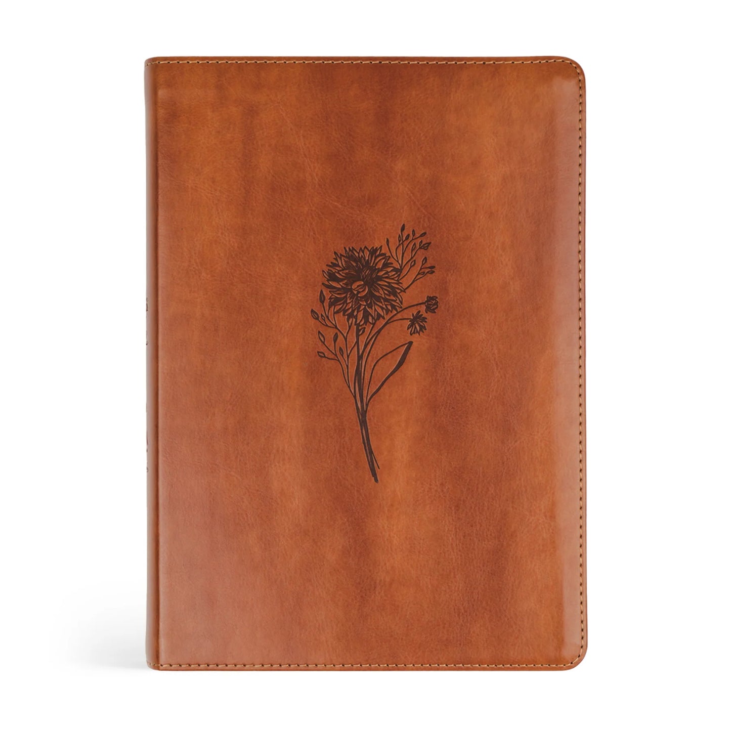 Sierra Theme ESV Large Print Journaling Bible