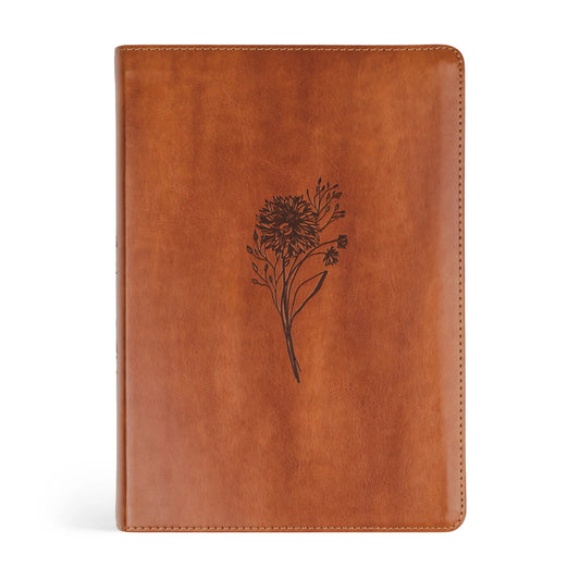 Sierra Theme ESV Large Print Journaling Bible