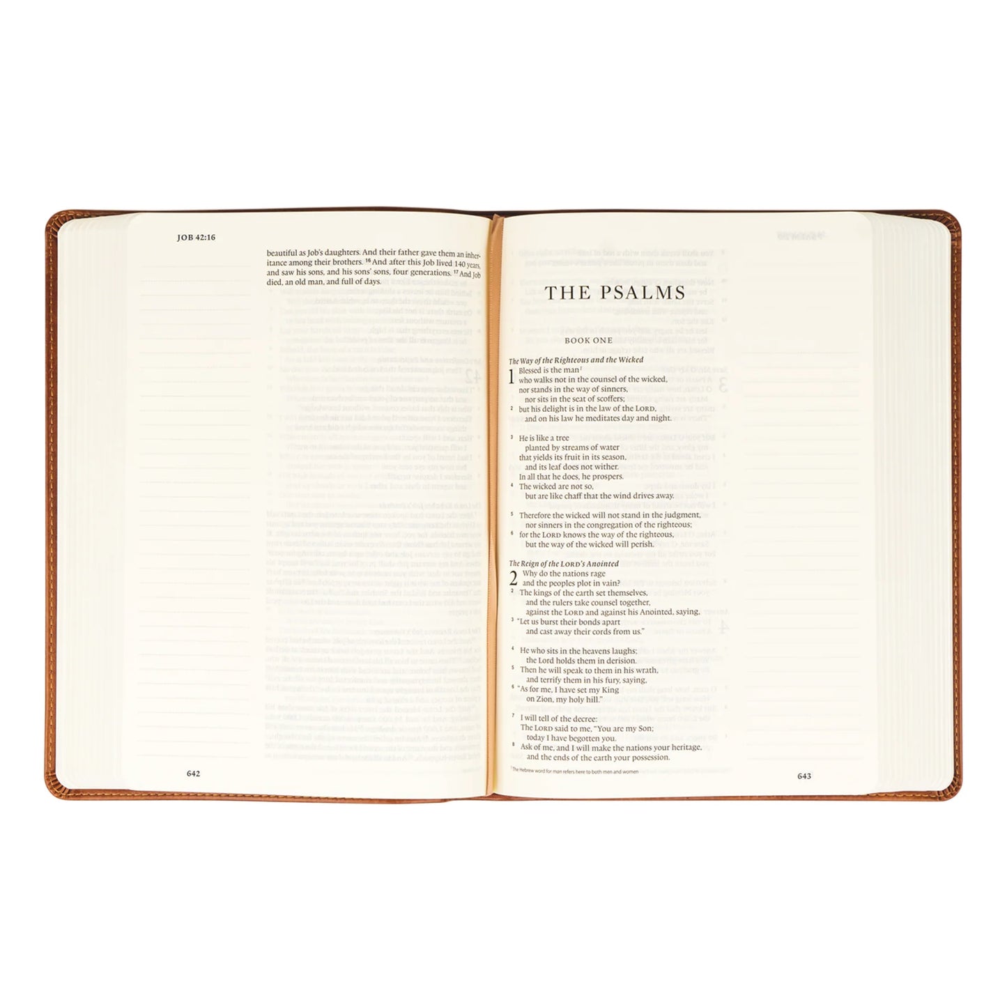 Sierra Theme ESV Large Print Journaling Bible